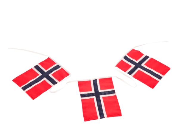 BITZ Celebrate Flag Bunting NO 5.4 Mtr Red/Blue