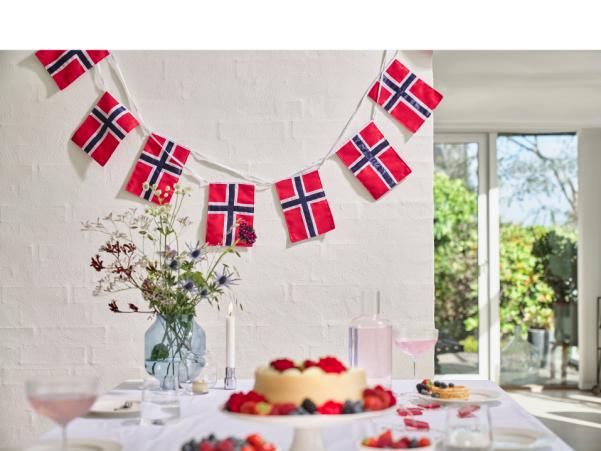 BITZ Celebrate Flag Bunting NO 5.4 Mtr Red/Blue