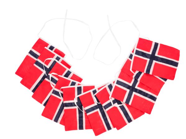 BITZ Celebrate Flag bunting NO 5.4 mtr Red/Blue
