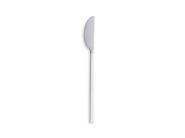 BITZ Gense CPB 2091 Table knife 20.5 cm 830