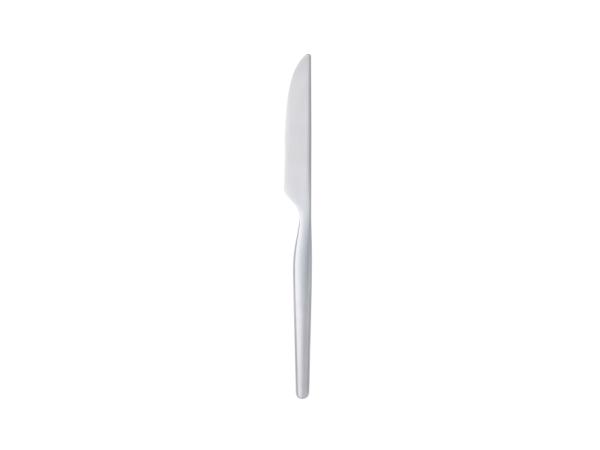 BITZ Gense Dorotea Table knife 21 9 cm Matte steel
