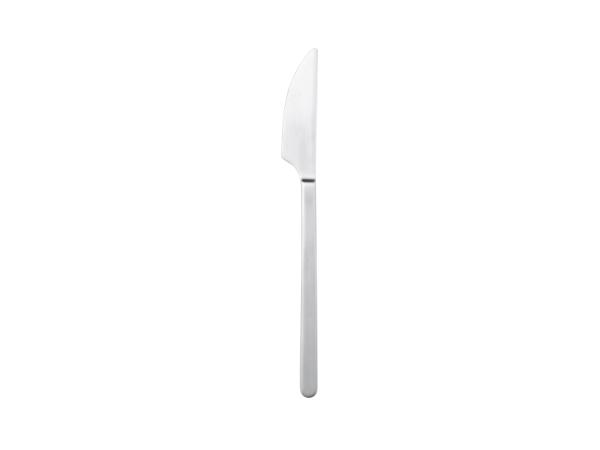 BITZ Gense Norm Table knife 22.5 cm Matte steel