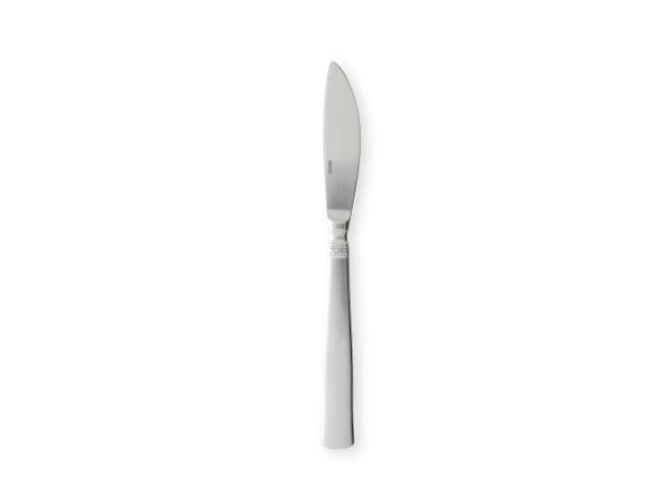 BITZ Gense Ranka Table Knife 20 Cm Matte Steel