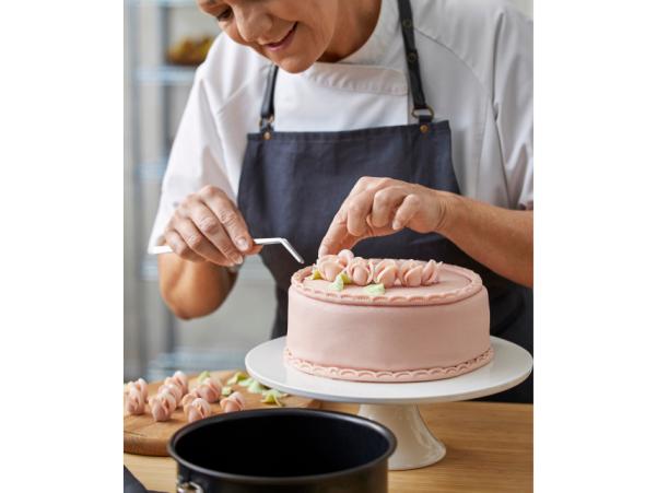 BITZ Blomsterbergs Springform Cake Tin Dia 20 X 8.5 Cm Steel