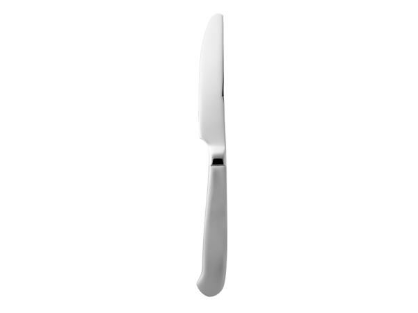 BITZ Gense Rejka Table Knife 22 Cm Matte/Polished Steel