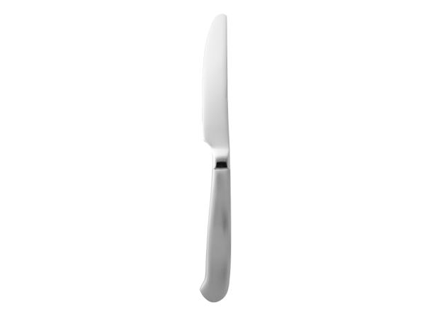 BITZ Gense Rejka Table Knife 22 Cm Matte/Polished Steel