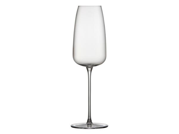 BITZ Lyngby Glas Veneto Champagne Glass 36 Cl 2 Pcs