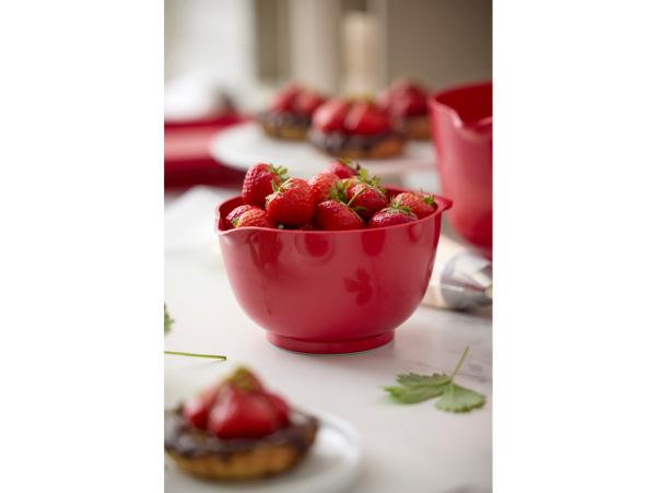 BITZ Rosti NEW Margrethe Mixing Bowl 0 75 Liter Red