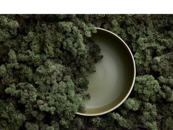 BITZ Studio Round North Salad Bowl Dia 25 Cm Matte White/Matte Moss