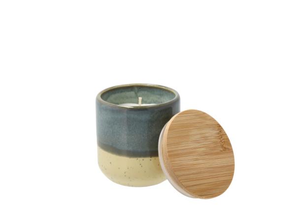 BITZ Villa Collection Iris Cactus Blossom Fragrance Candle Dia 7 X 7.3 Cm Yellow Brown
