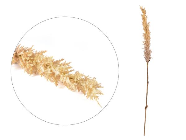BITZ Villa Collection Kvist Grasses light Decor 100 cm Nature