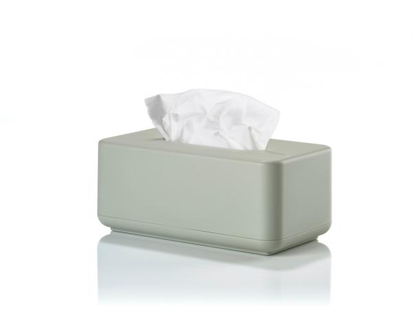 BITZ Zone Denmark Ume Tissue Box 25 6 X 14 X 10 7 Cm Eucalyptus