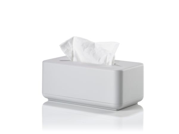 BITZ Zone Denmark Ume Tissue Box 25 6 X 14 X 10 7 Cm Soft Grey
