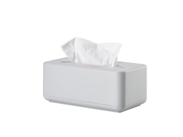 BITZ Zone Denmark Ume Tissue Box 25 6 X 14 X 10 7 Cm Soft Grey