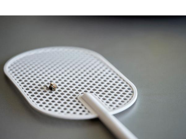 BITZ Zone Singles Fly Swatter 54 X 10.3 X 0.2 Cm Warm Grey