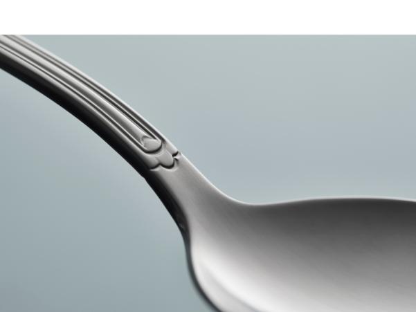 BITZ Gense Attaché Table Spoon 19 5 Cm Matte Steel