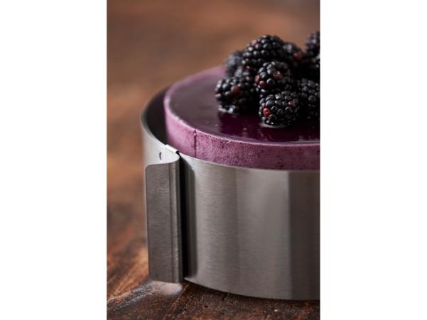 BITZ Funktion Pastry Ring Adjustable Dia 16-32 X 8 Cm