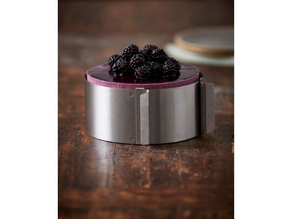 BITZ Funktion Pastry Ring Adjustable Dia 16-32 X 8 Cm
