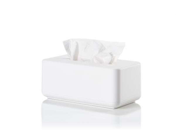 BITZ Zone Denmark Ume Tissue Box 25 6 X 14 X 10 7 Cm White