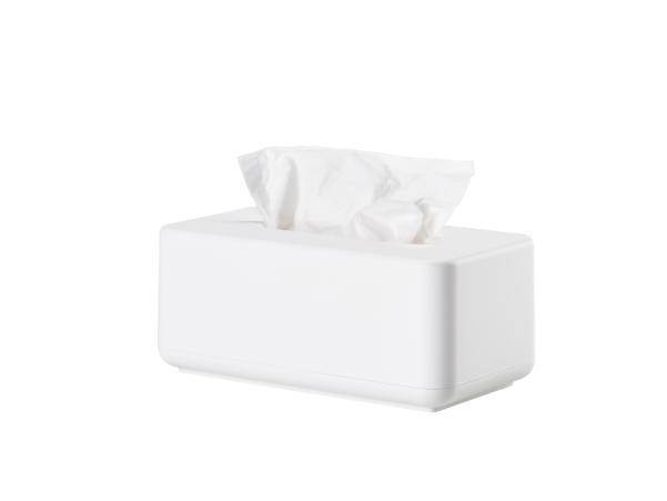 BITZ Zone Denmark Ume Tissue Box 25 6 X 14 X 10 7 Cm White